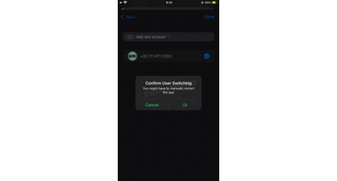 WhatsApp для iPhone вскоре может получить поддержку нескольких аккаунтов