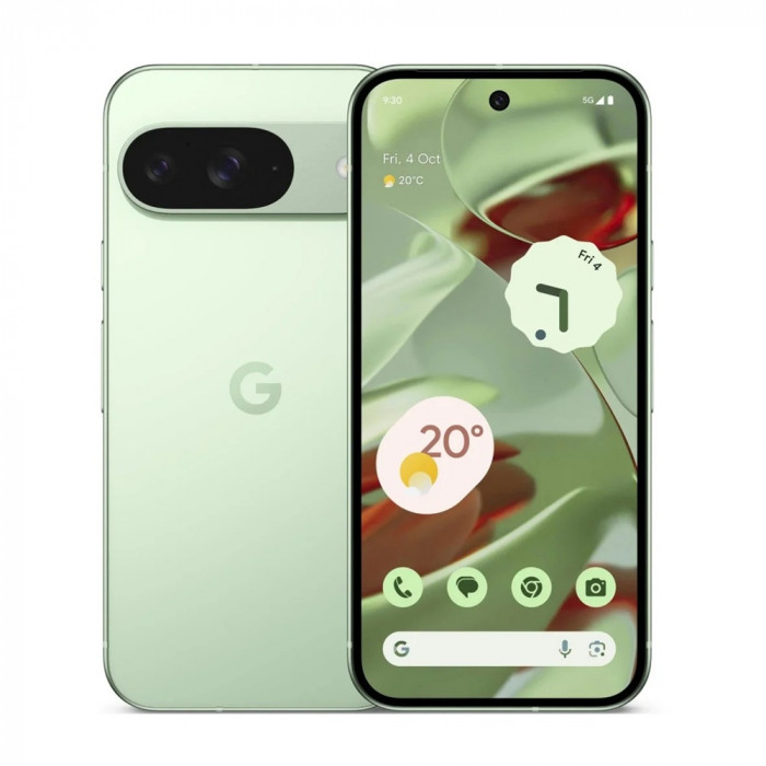 Google Pixel 9 12/256GB Wintergreen Google Pixel 9 12/256GB Wintergreen