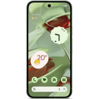 Google Pixel 9 12/256GB Wintergreen