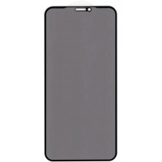 Защитное стекло Privacy Сlassic для iPhone 12 Pro Max